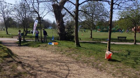 Orienteering start flag at Royal Victoria Country Park